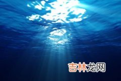 海洋中有会飞的鱼吗,海洋中存不存在会飞的鱼？