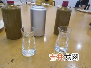 乙醇和酒精有什么区别,乙醇和酒精有什么区别？
