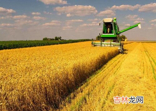 30万石粮食30万大军要吃多久,中国古代十万大军一个月需要多少粮食供给？
