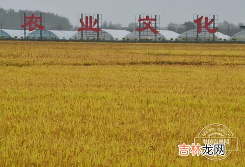 30万石粮食30万大军要吃多久,中国古代十万大军一个月需要多少粮食供给？