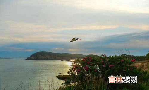 三个字的岛屿名称,世界上三个字的岛有哪些