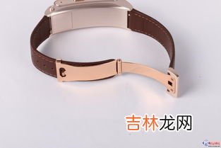 手环表带哪里有卖？全网购买指南来袭！,oppowatch3pro手表氟橡胶原装表带哪里有卖的
