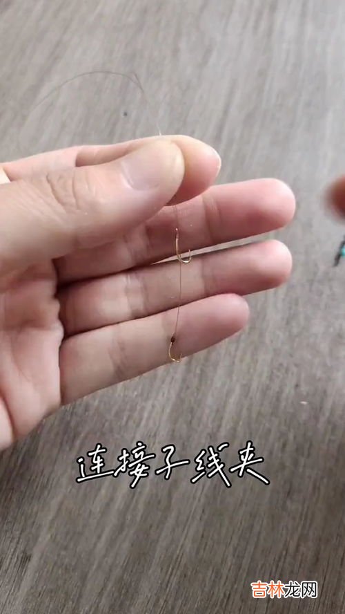 钓甲鱼的钩子绑钩方法,钓甲鱼用什么钩 钓甲鱼怎么钓