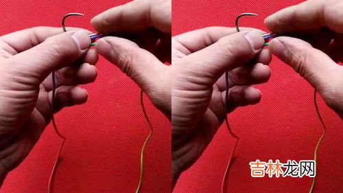 钓甲鱼的钩子绑钩方法,钓甲鱼用什么钩 钓甲鱼怎么钓