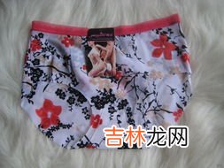 木代尔是什么,木代尔是什么