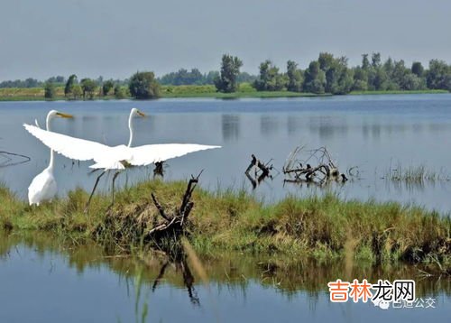 湿地能增强周边地区抵抗什么的能力,湿地保护法草案20日首次提请人大常委会审议，该怎样保护“地球之肾”？