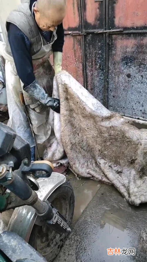 家庭土法用什么熟皮子,熟皮子的操作方法