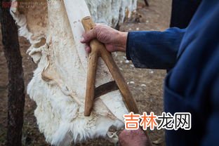 家庭土法用什么熟皮子,熟皮子的操作方法