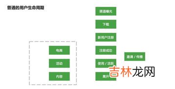 思维过程的四个阶段,思维的基本过程