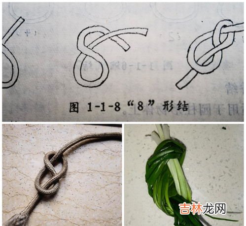 丁香结是什么绳结,将绳子固定到坚实的栏杆上要打什么结