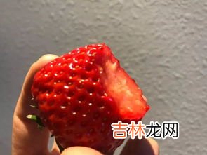 经期草莓可以吃吗,经期可以吃草莓么