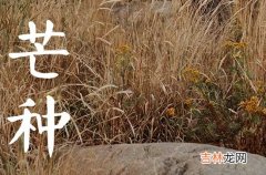 今年芒种是几月几日几点交节2023 芒种后九天交运怎么算