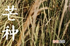 2023年芒种可以回娘家吗 2023年芒种芒种节气的禁忌