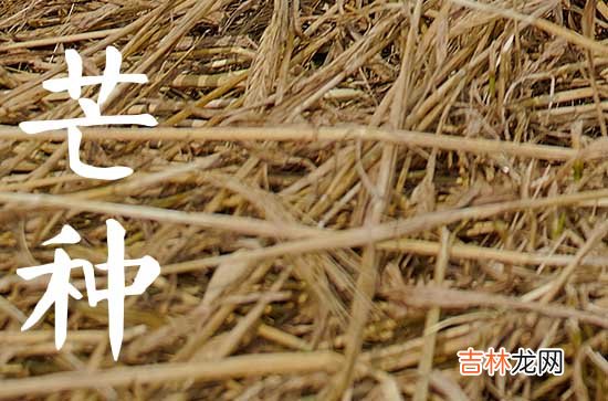 2023年芒种节气又被叫做“开犁节” 2023年芒种的具体时间