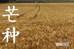 2023年芒种可以搬家吗 2023年芒种芒种搬家好收成