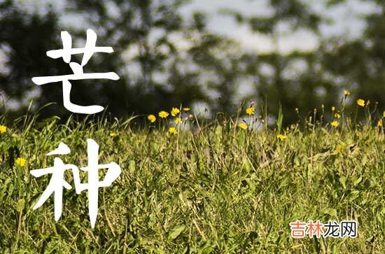 2023年6月几号是芒种节气 芒种是吉利日子吗