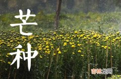 2023年芒种是什么节日 2023芒种的俗语