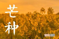 2023最新芒种祝福语说说 芒种朋友圈说说带