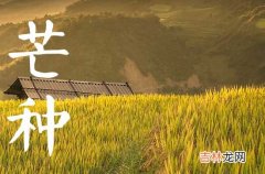 2023年芒种是几月几号几点几分 芒种时节都有哪些气候特征