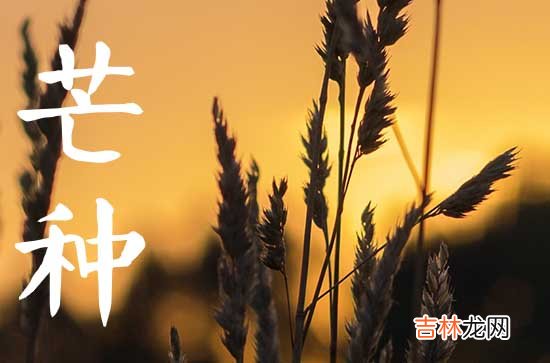 芒种节气有什么特点 2023年芒种是不是吉日