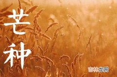 2023年芒种可以种植什么 芒种的注意点