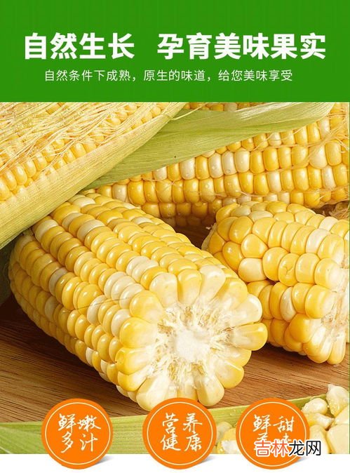 水果玉米和糯玉米区别,水果玉米和粘玉米的区别？