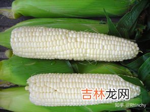 水果玉米和糯玉米区别,水果玉米和粘玉米的区别?