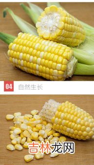 水果玉米和糯玉米区别,水果玉米和粘玉米的区别？