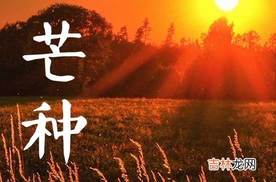 2023年芒种吃什么
