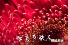 2023年母亲节祝福问候语QQ合集21句