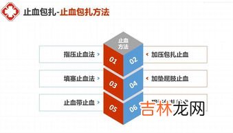 红十字会基本原则,红十字运动的基本原则