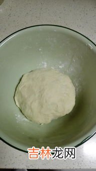 怎么发酵面粉,面怎么发酵