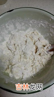 怎么发酵面粉,面怎么发酵
