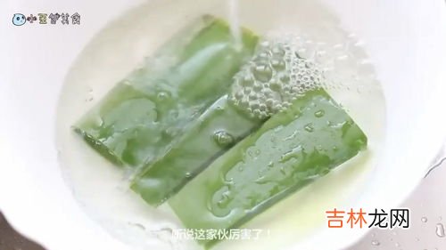 芦荟胶囊饭前吃还是饭后吃,芦荟胶囊应该饭前吃或饭后吃
