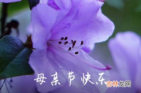 2023年母亲节祝福语合集67句