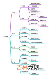 人体三大供能系统特点,人体的三大供能系统是