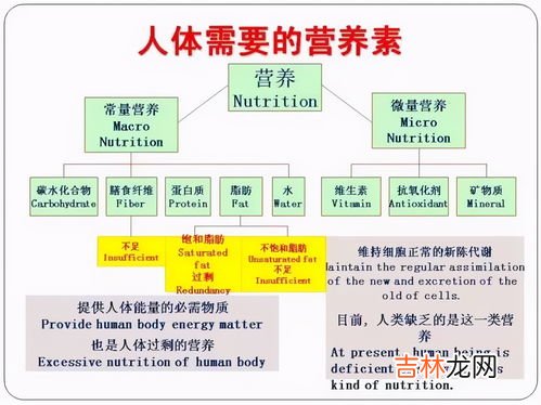 人体三大供能系统特点,人体的三大供能系统是