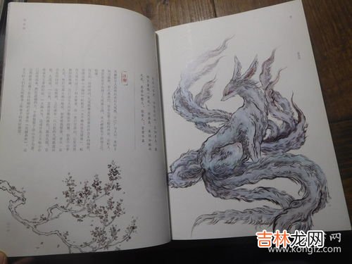 观山海和山海经区别,观山海和山海经水墨卷哪个图更震撼
