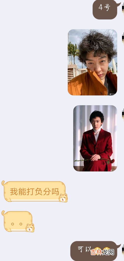 Gay蜜是什么,队蜜是什么意思？？？