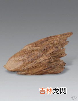 沉香木是什么树,沉香木是指什么树?
