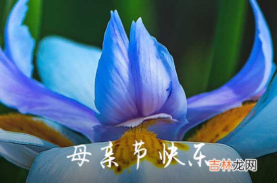 2023年母亲节祝福QQ问候语集锦56句