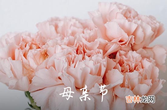 2023年感动妈妈的母亲节祝福语微信集合29条