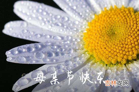 2023年母亲节祝福微信问候语集锦50条