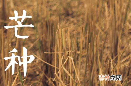 2023年芒种可以搬家吗 芒种搬家好收成