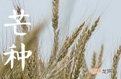 2023年芒种是什么季节 芒种节气的习俗