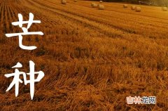 2023年芒种忌讳什么 芒种时节饮食上有什么禁忌吗