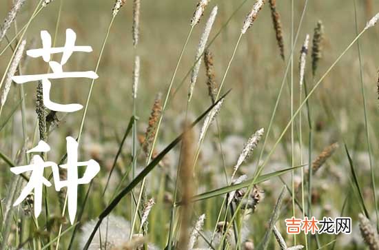 2023年芒种节气是哪一天 2023年芒种的时间