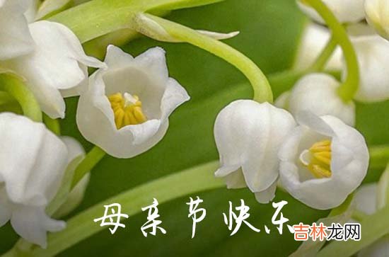 母亲节祝福语集锦2023