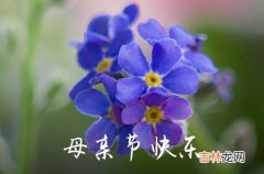 2023优美的母亲节祝福语45条