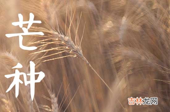 2023年芒种节气的祝福词50句